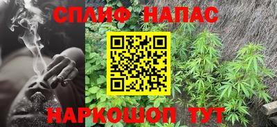 гидра Тверь