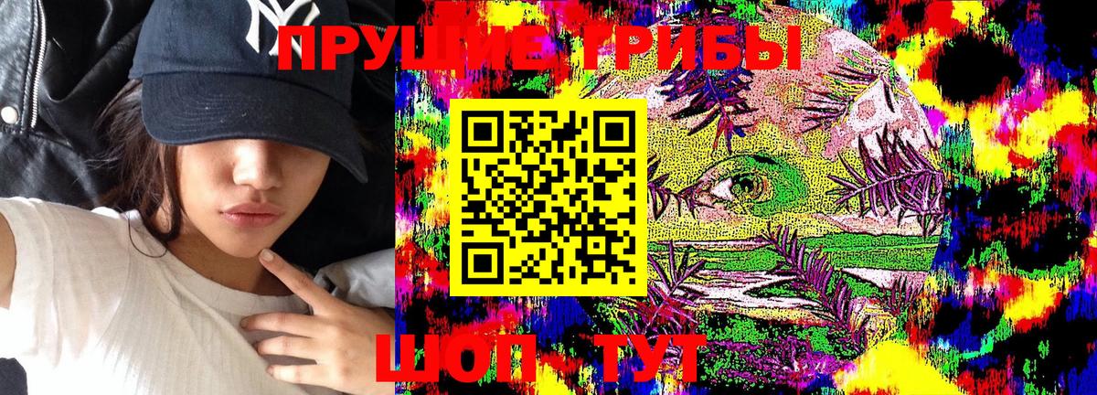 Псилоцибиновые грибы Cubensis  Псилоцибиновые грибы Psilocybine cubensis  Нарткала  Вход с VPN 